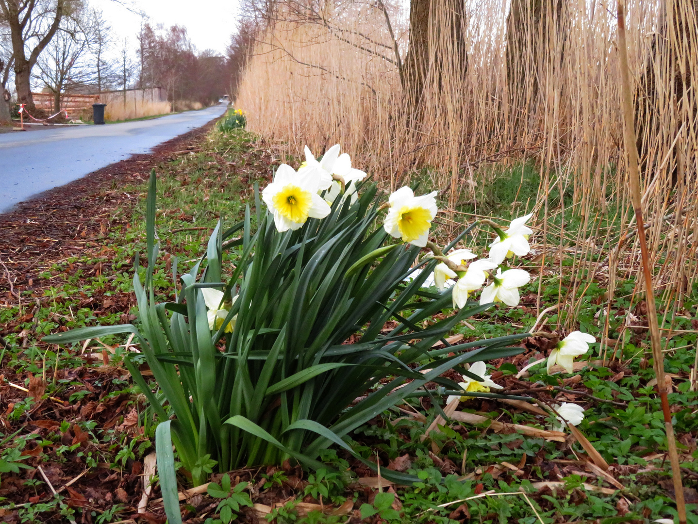 an der Fährstr. 