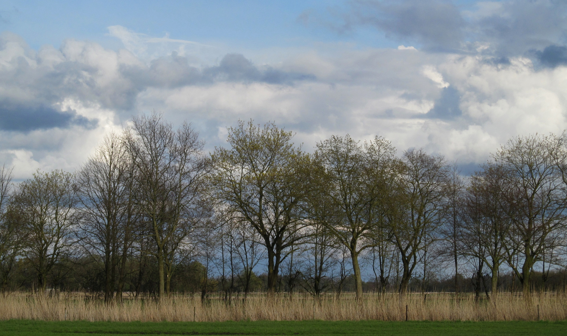 an der Fährstrassen - Allee ...