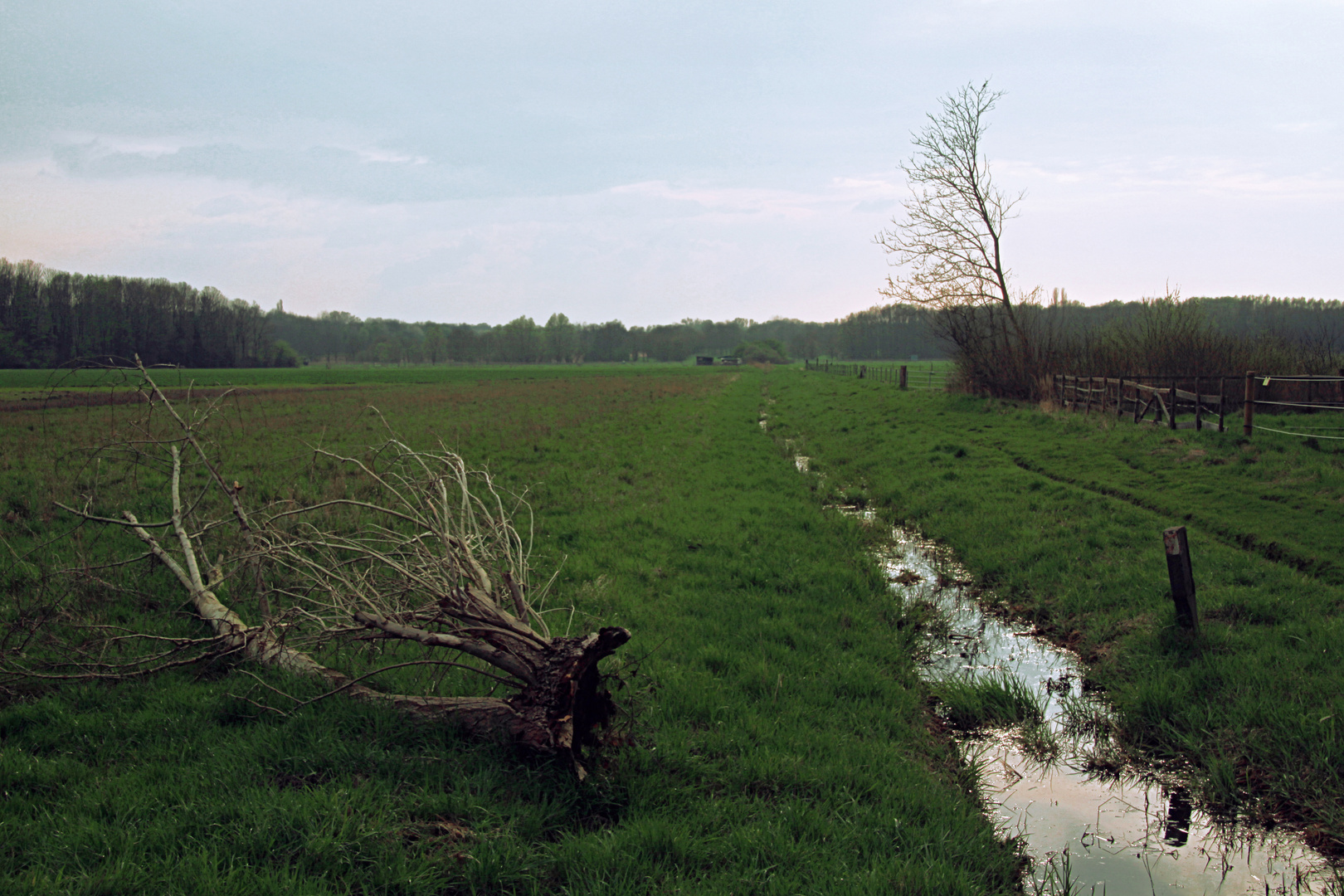 An der Feldmark