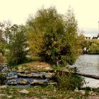an der Fischtreppe am Neckar