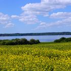 An der Flensburger Förde