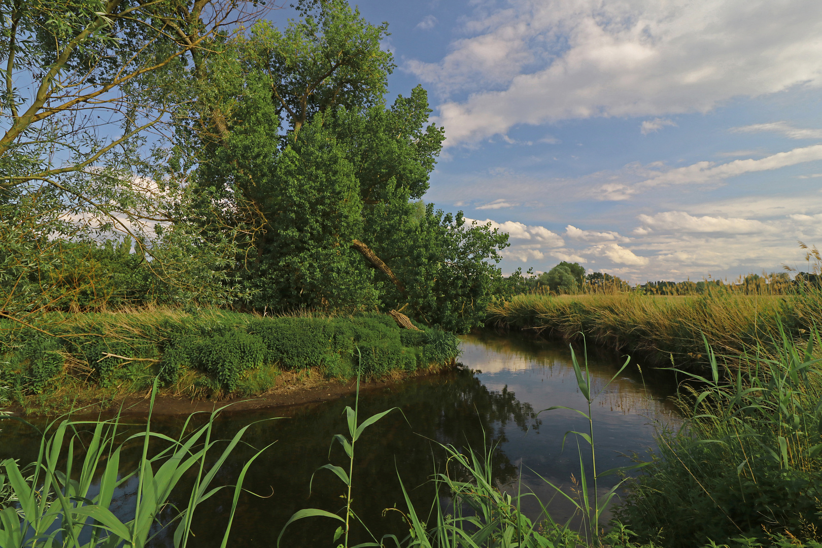 An der Flussbiegung