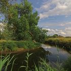 An der Flussbiegung