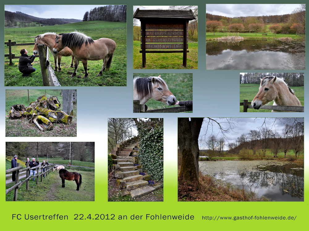 an der Fohlenweide