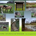 an der Fohlenweide