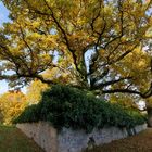 an der Friedhofsmauer