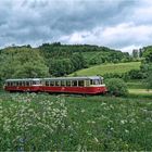 An der Frühlingsblumenwiese