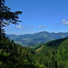 an der Fuchswaldstraße von Schönau nach Herrenschwand