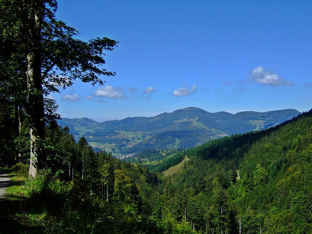 an der Fuchswaldstraße von Schönau nach Herrenschwand