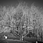 an der Garonne Toulouse II