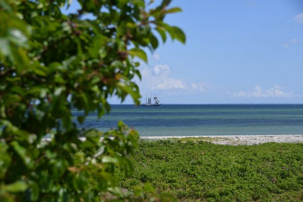 An der Geltinger Birk