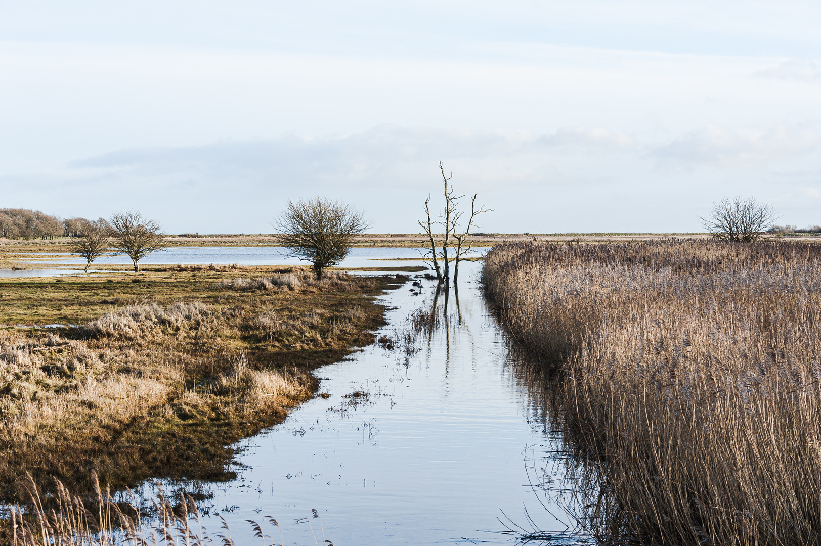 An der Geltinger Birk