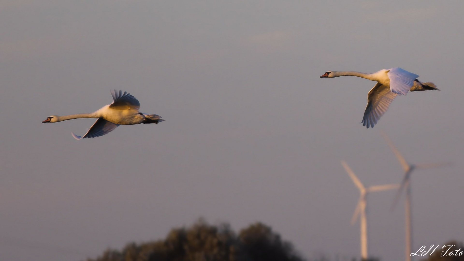 An der Geschiebesperre...