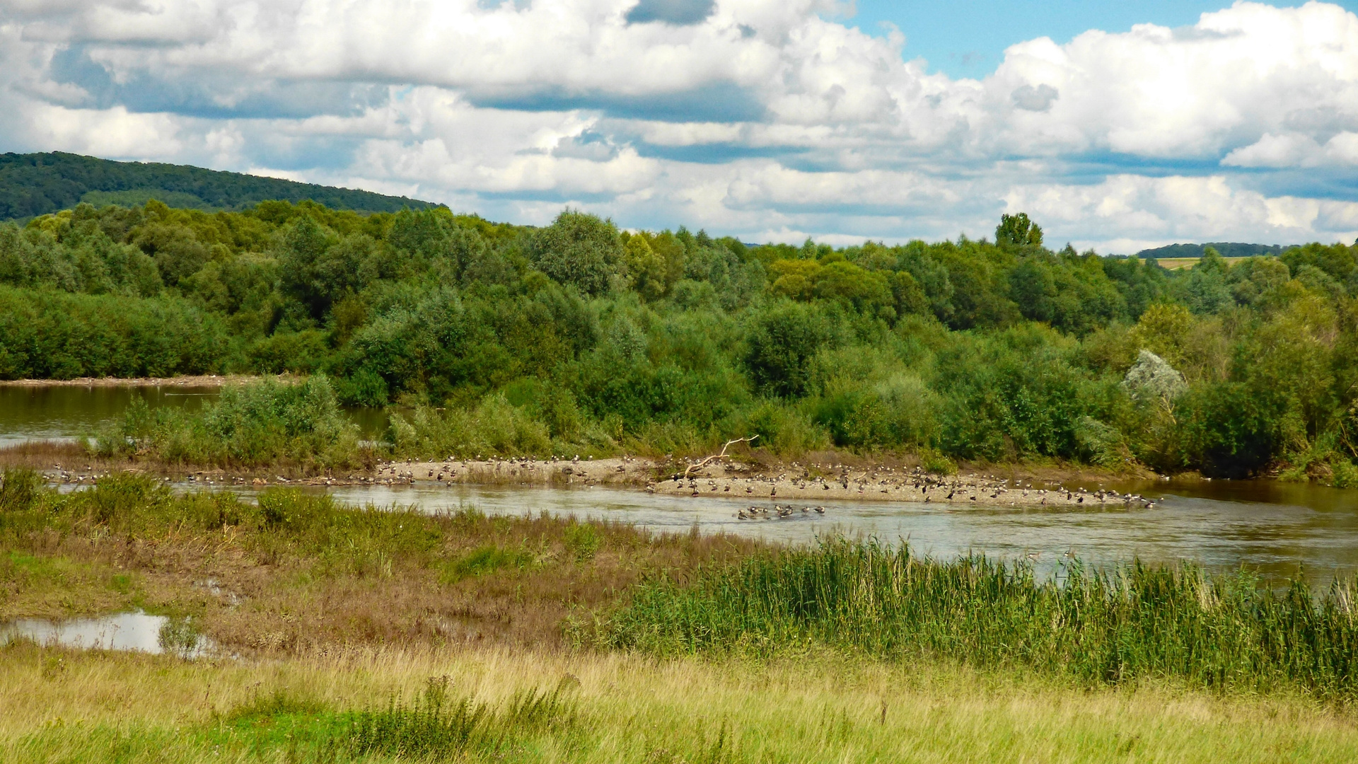 An der Geschiebesperre Hollenstedt