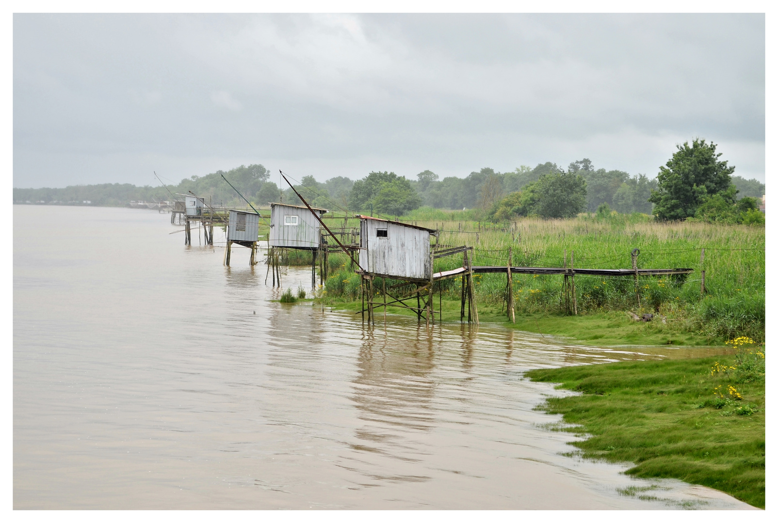 An der Gironde, Juni 2013