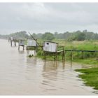 An der Gironde, Juni 2013