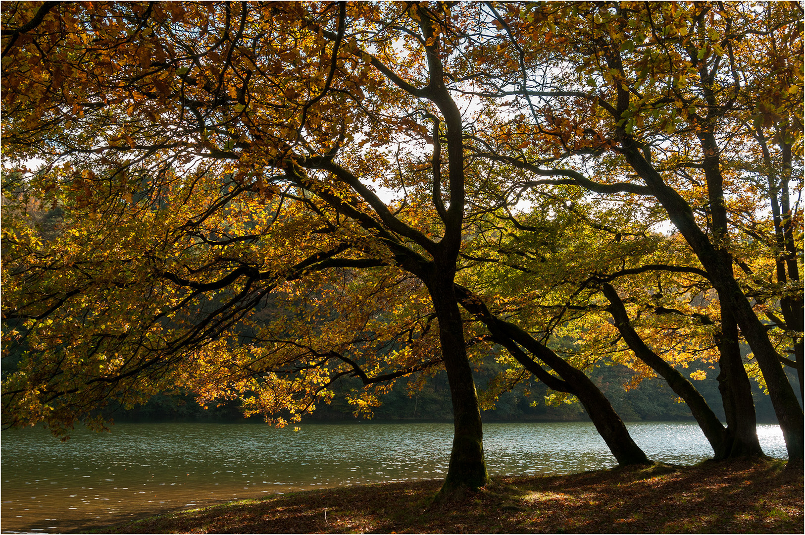 An der Glörtalsperre