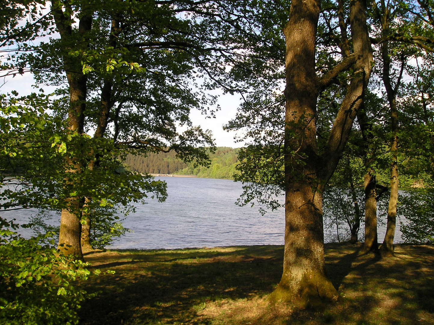 An der Glörtalsperre im Märkischen Sauerland