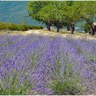 An der Gorges du Verdon.....................