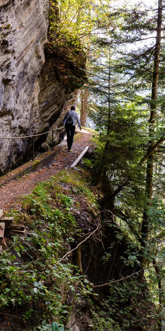 An der Grand Bisse de Lens (1)