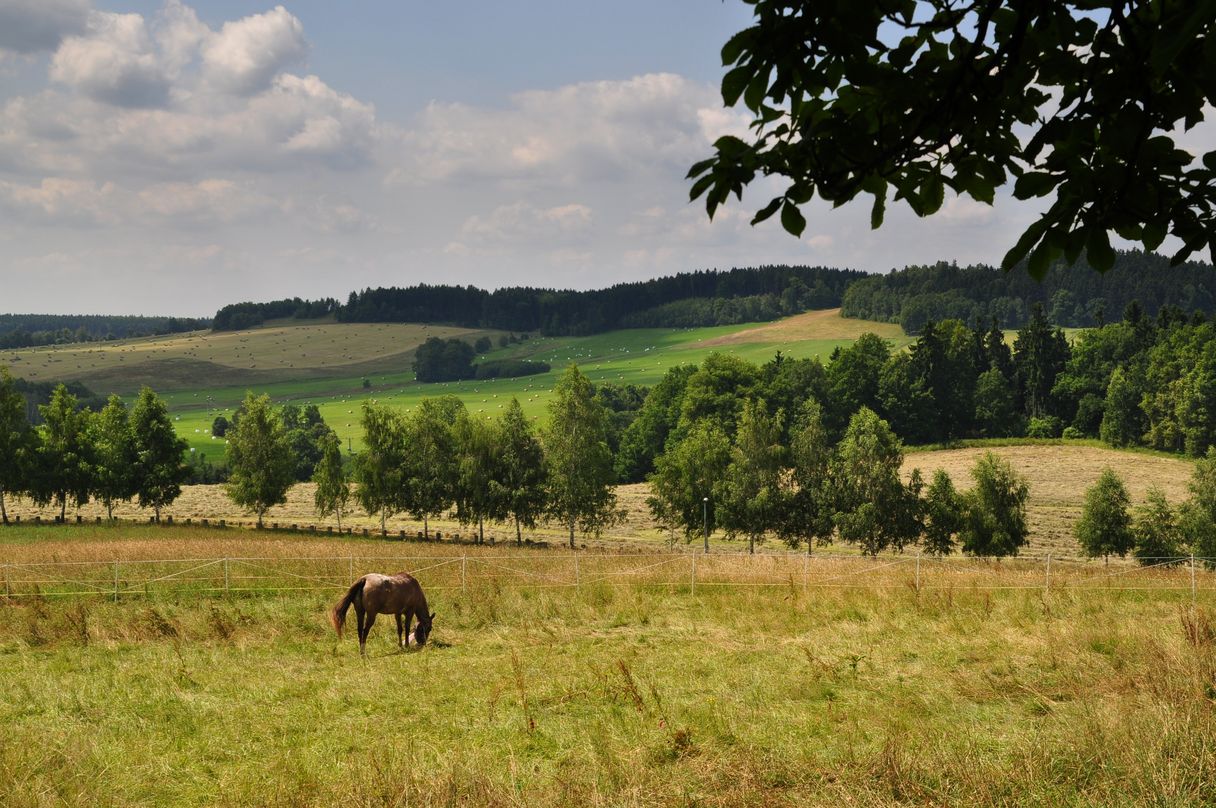 An der Grenze