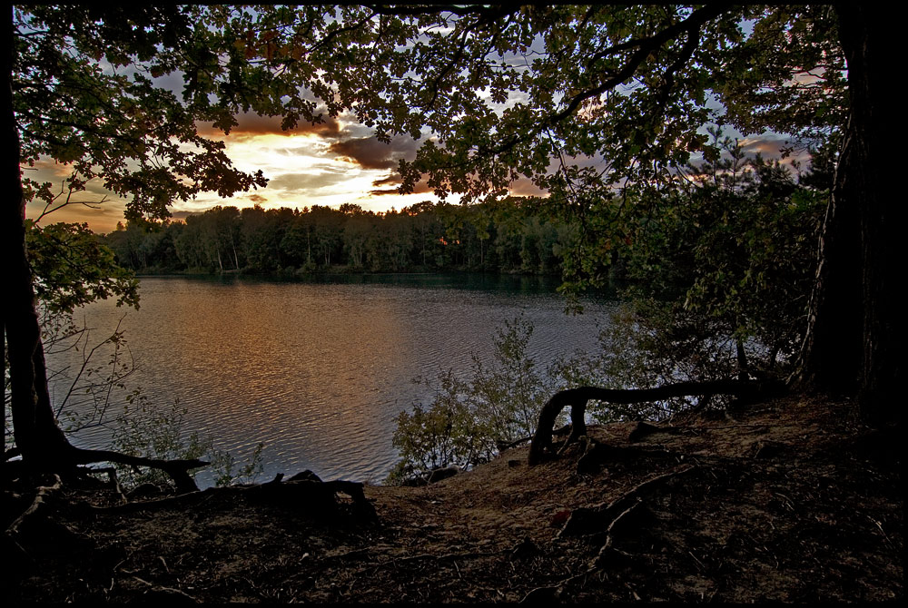 An der Grenze des Zauberwalds