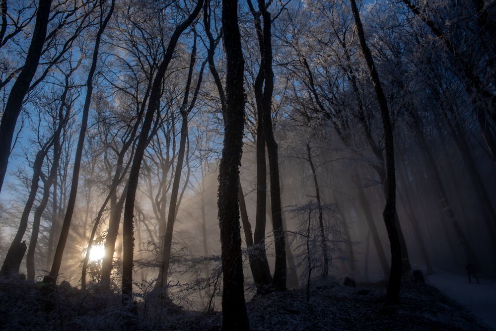 An der Grenze zum Licht