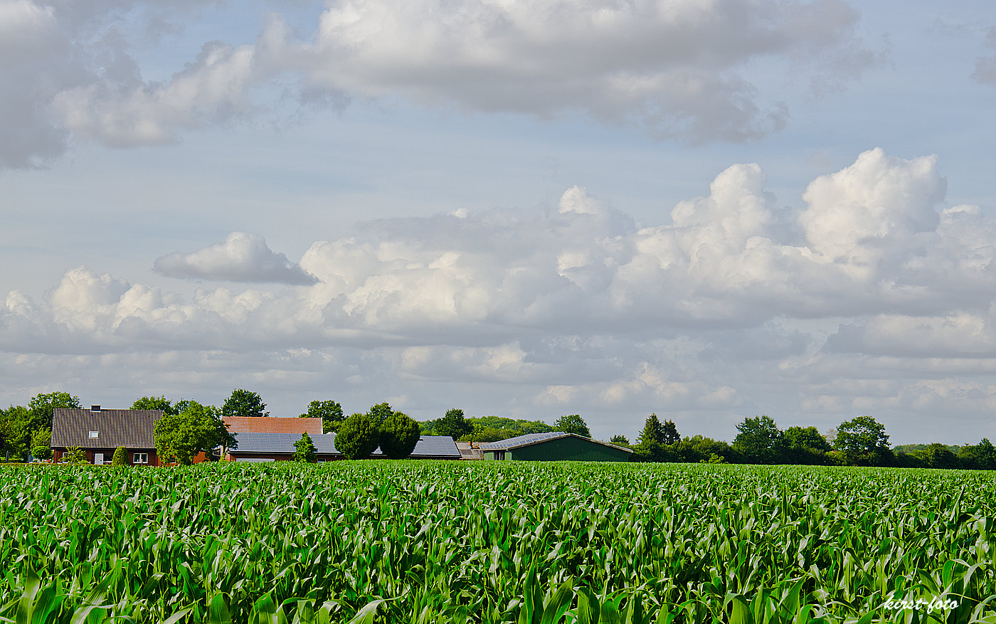 an-der-Grenze-zum-Münsterland