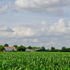 an-der-Grenze-zum-Münsterland