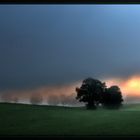 An der Grenze zwischen Nebel und Licht