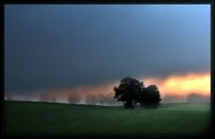 An der Grenze zwischen Nebel und Licht