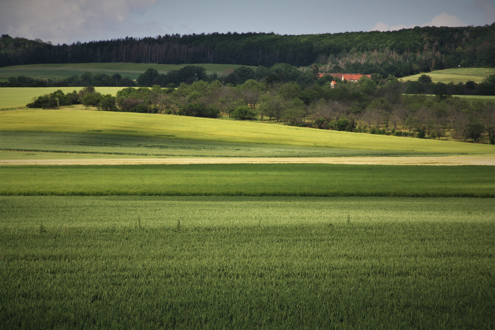 An der Grenze zwischen Thüringen und Sachsen-Anhalt