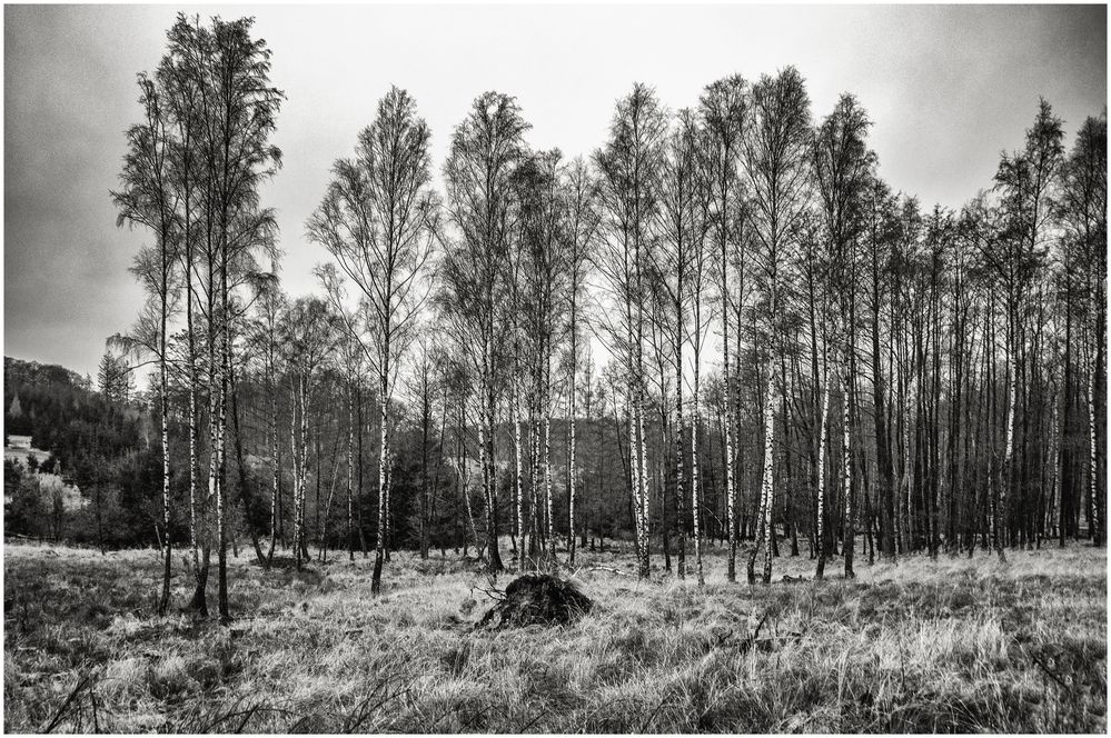 An der Große Schmalenau Foto & Bild deutschland, europe, nordrhein