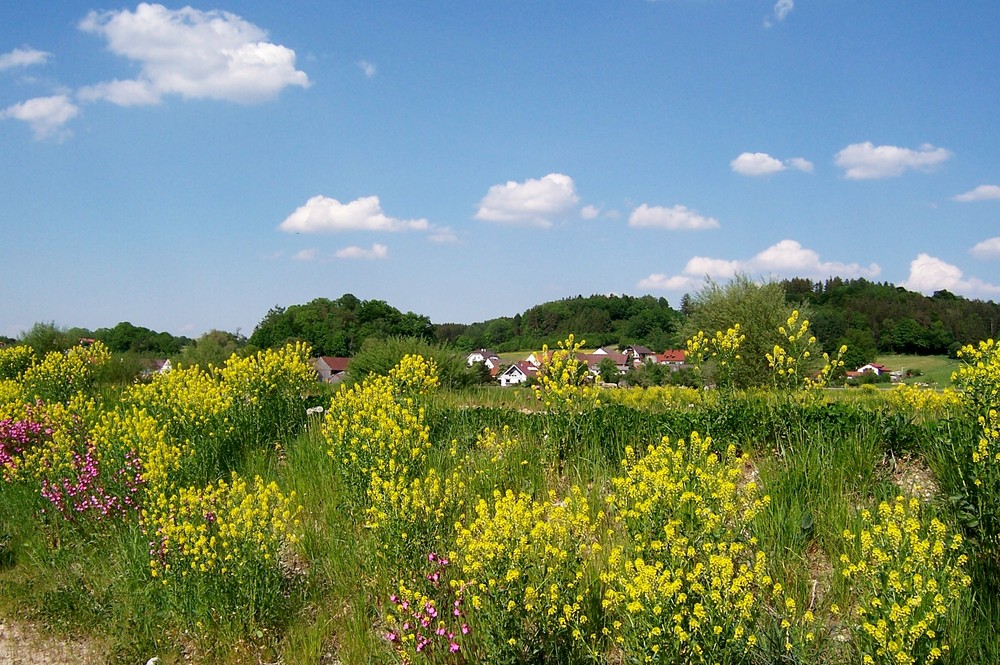 An der Günz entlang