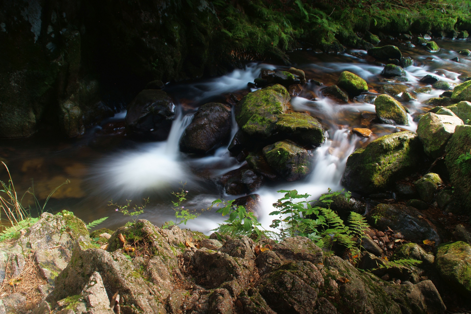 An der Haslach