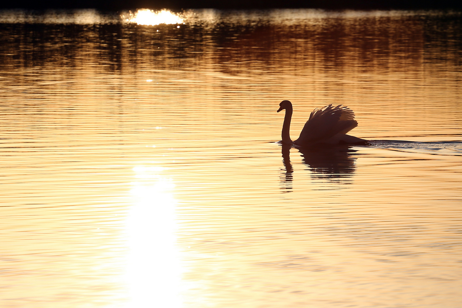 an der Havel