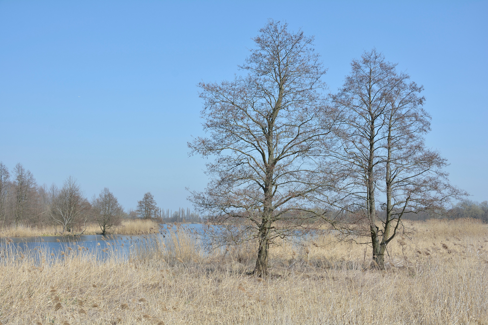 An der Havel im April