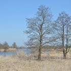 An der Havel im April