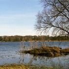 An der Havel vor dem Frühling