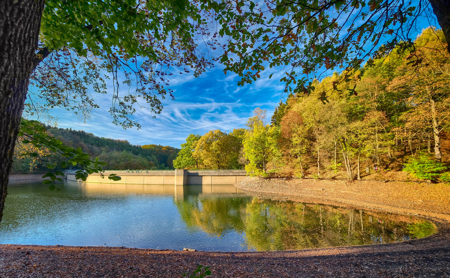 An der Heilenbecketalsperre (2)