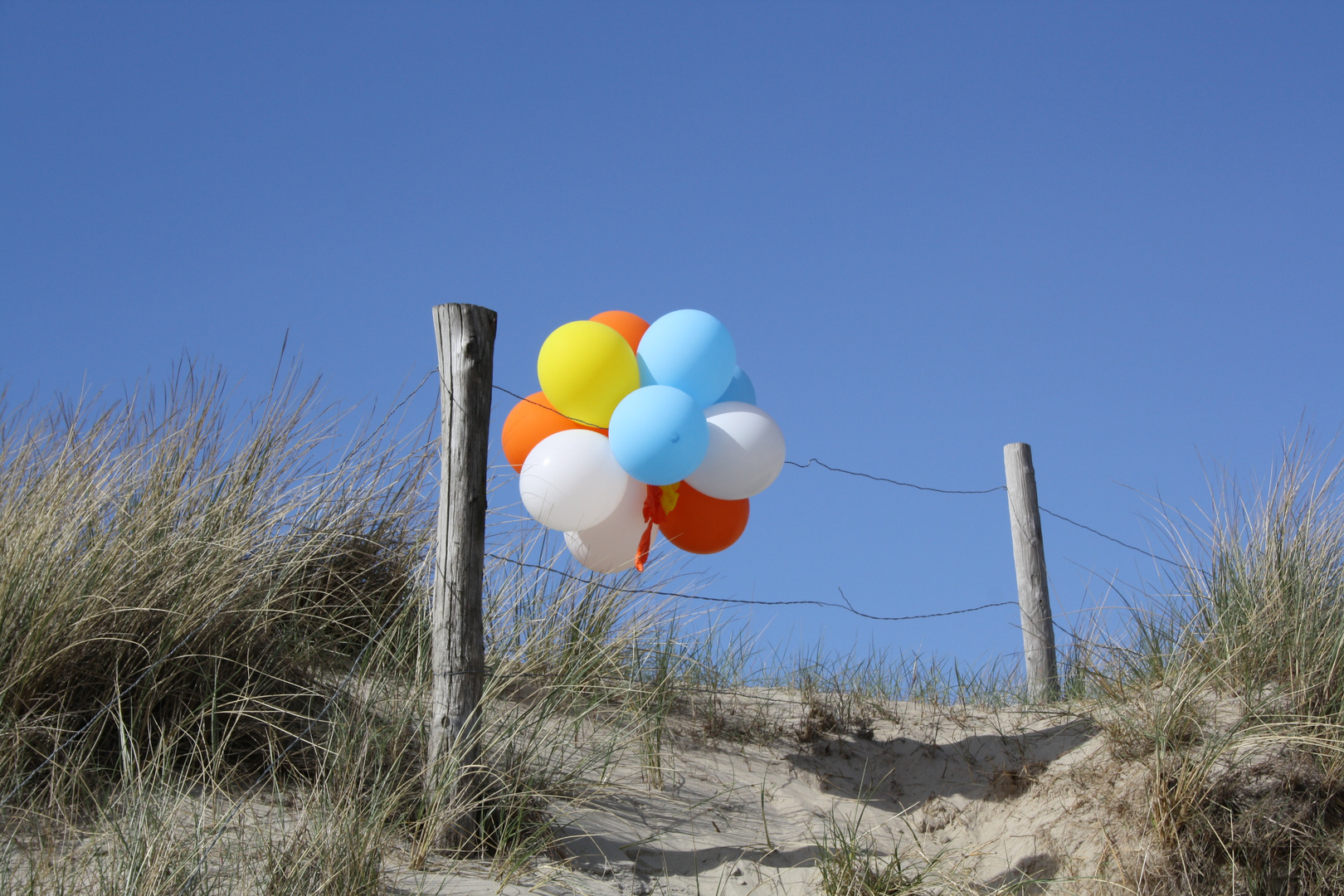 an der holländischen nordsee