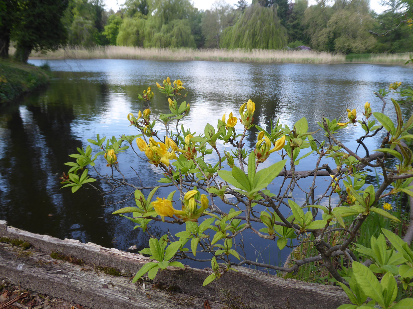 An der Holzbrücke