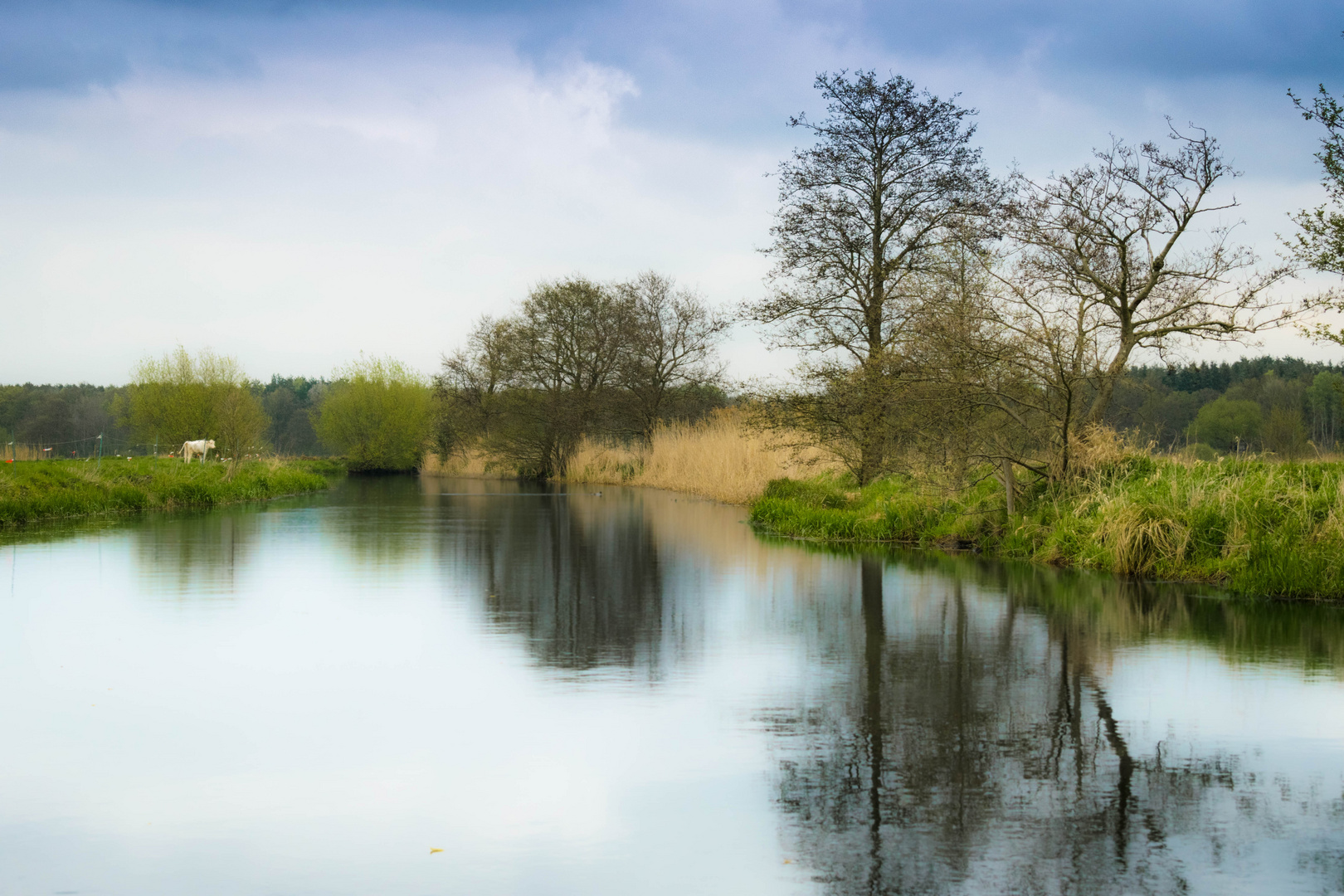 An der Ilmenau