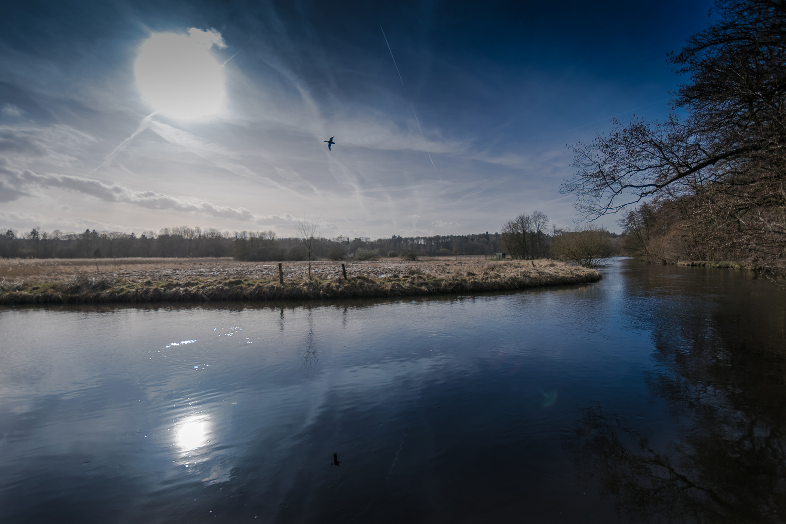 An der Ilmenau am 15.03.2017