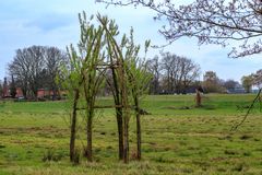 An der Ilmenau bei Bad Bevensen