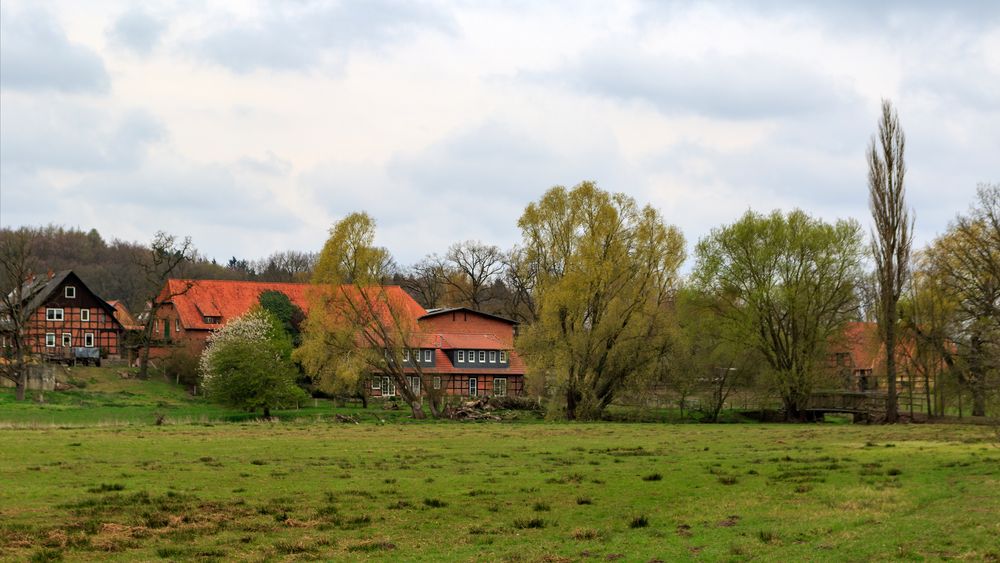 An der Ilmenau bei Bad Bevensen_D4A1957