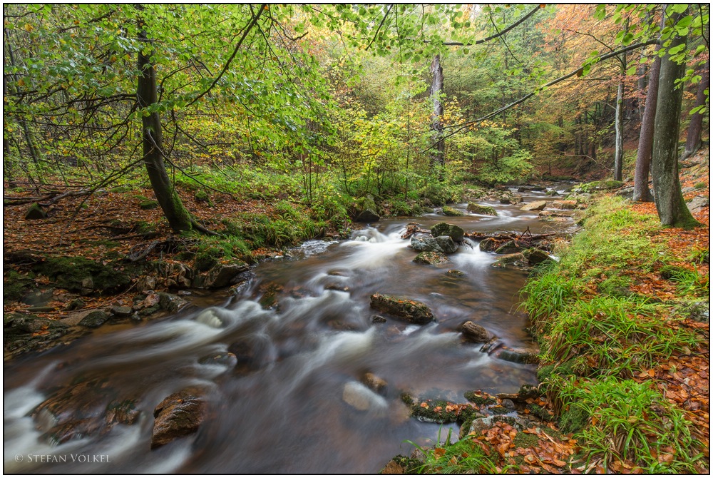 An der Ilse im Nationalpark Harz