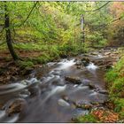 An der Ilse im Nationalpark Harz