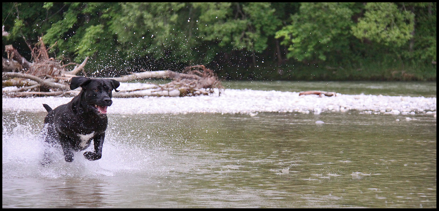 an der Isar