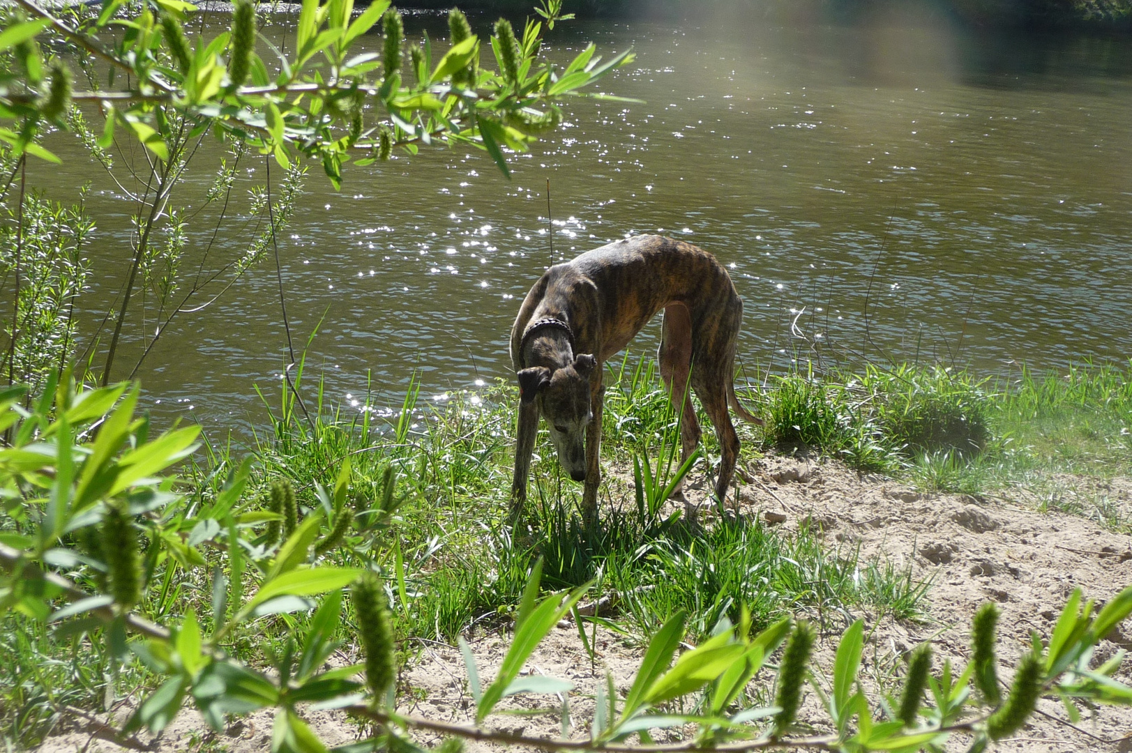 an der Isar